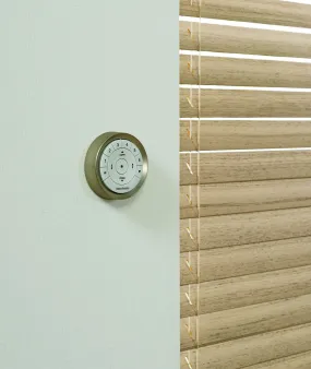 Hunter Douglas PowerView Pebble Surface Remote