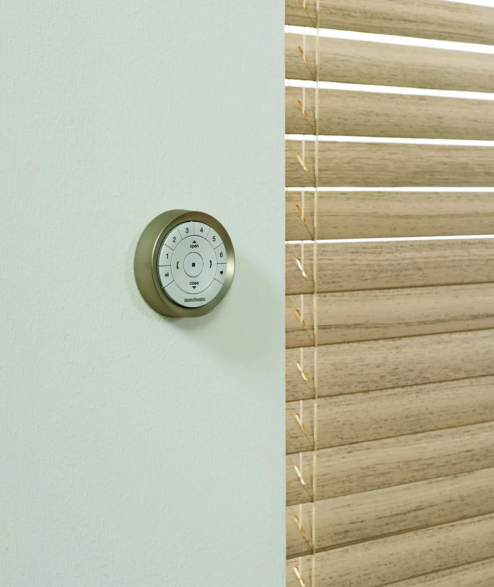 Hunter Douglas PowerView Pebble Surface Remote