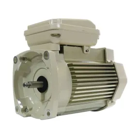 Pentair 1.0HP TEFC Motor 1 Ph 115/208-230V 354821S for SuperFlo & WhisperFlo Pumps