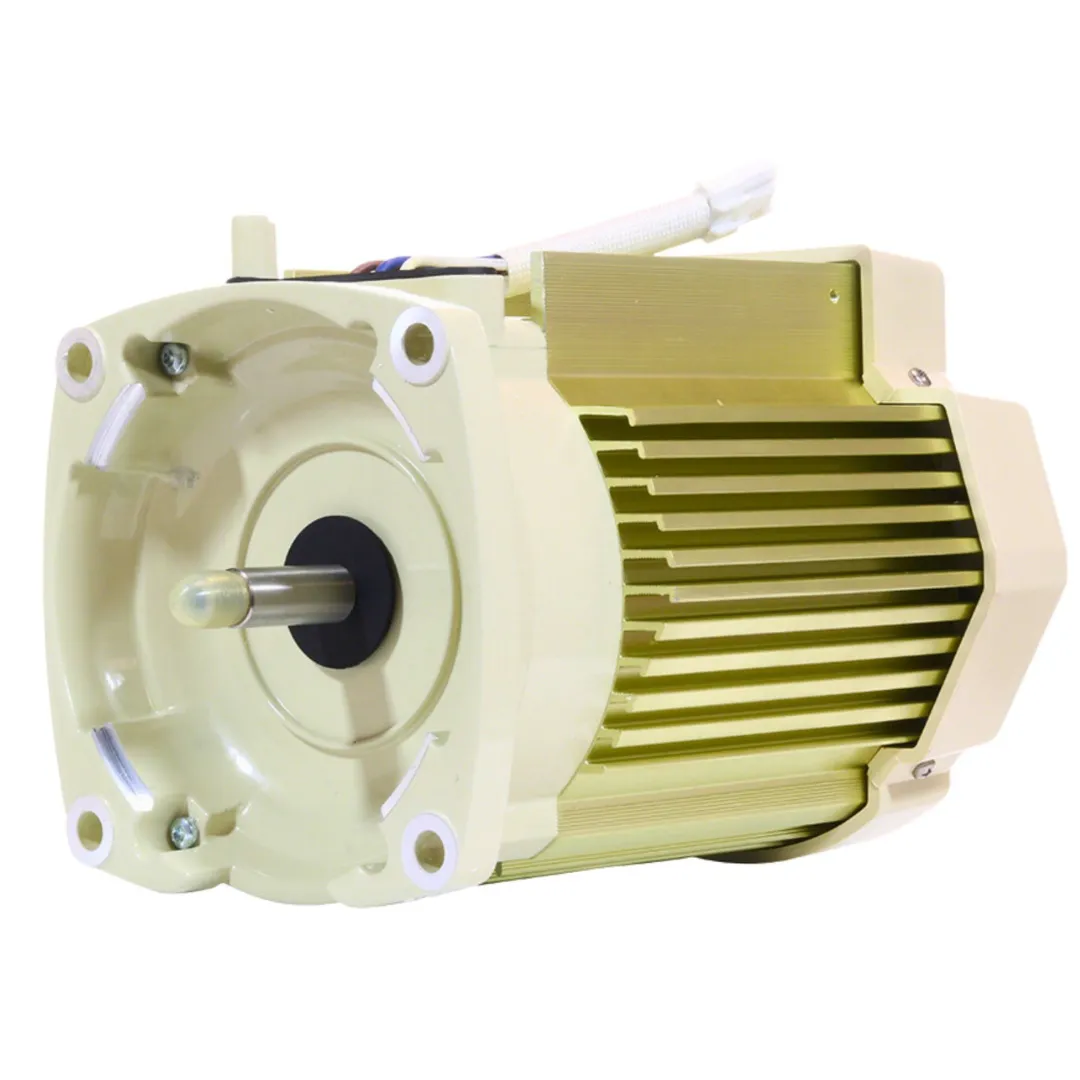 Pentair 1.5HP Motor without Drive 115/208-230V 353134S for SuperFlo VS/VST SuperMax VS