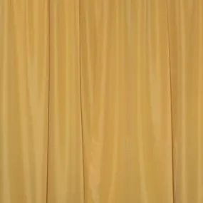 Pipe & Drape with Gold Curtain