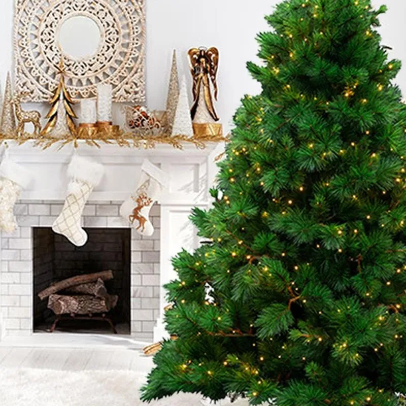 Pre-Lit Natural Royal Pine Tree - Warm White 7ft (2.1m)