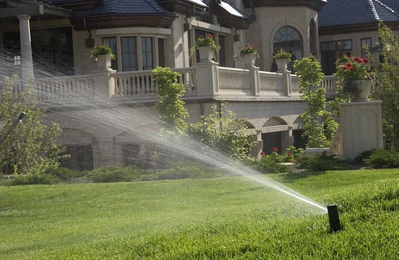 Rain Bird 5004  Pop Up Sprinkler