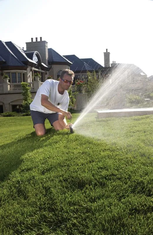 Rain Bird 5004  Pop Up Sprinkler