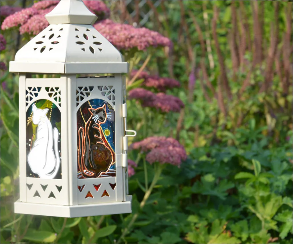 Small Moroccan Cat Lantern