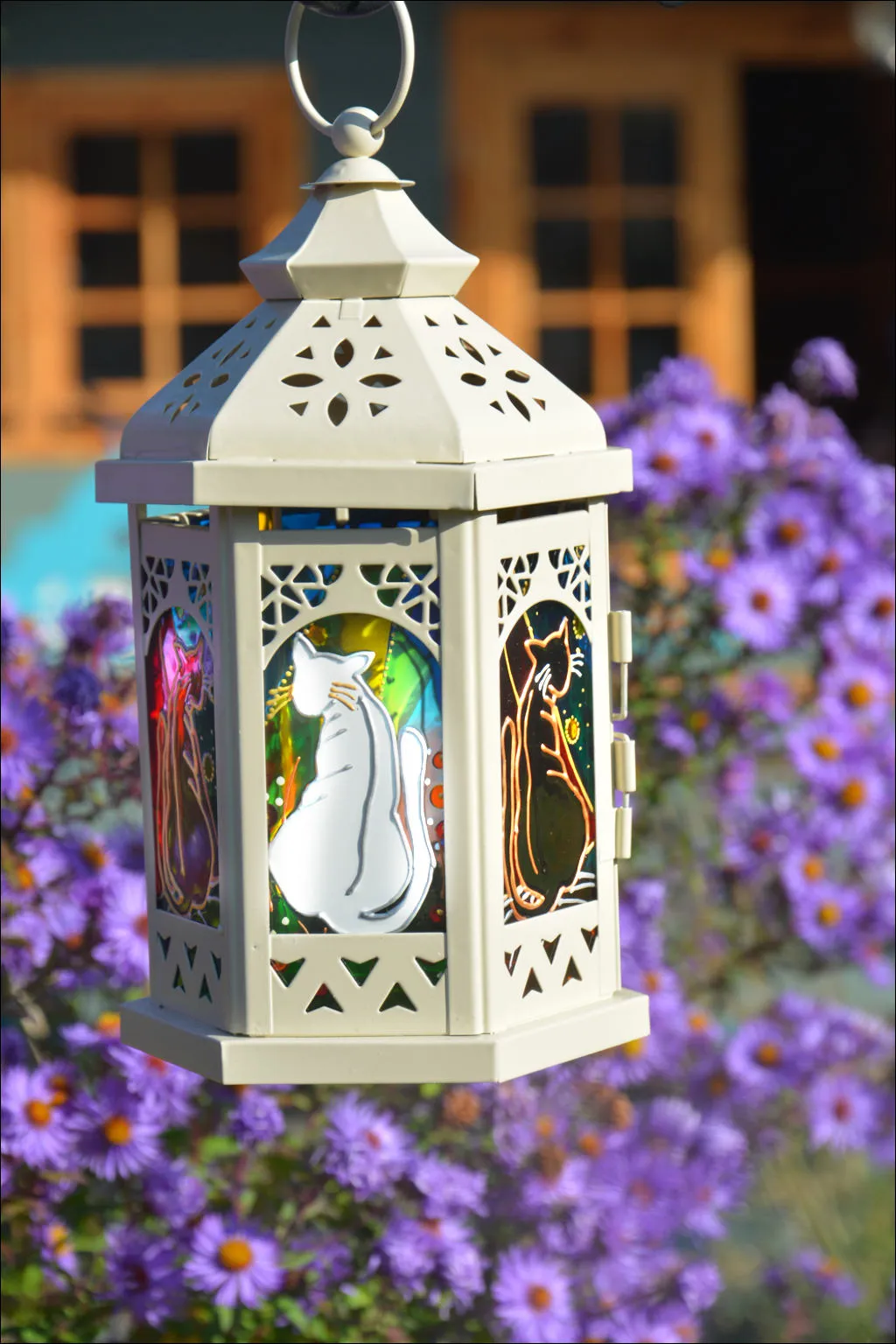 Small Moroccan Cat Lantern
