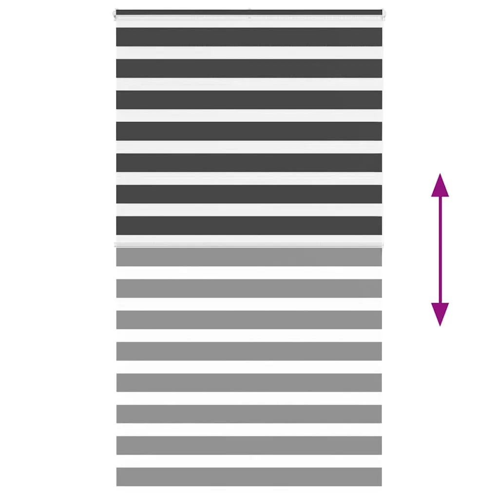 vidaXL Zebra Blind Black 120x200 cm Fabric Width 115.9 cm Polyester