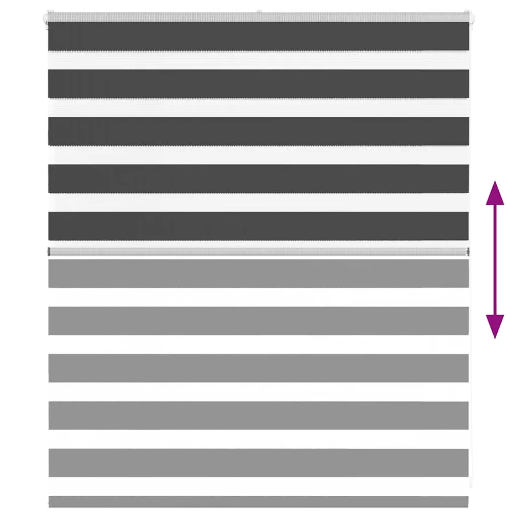 vidaXL Zebra Blind Black 125x100 cm Fabric Width 120.9 cm Polyester