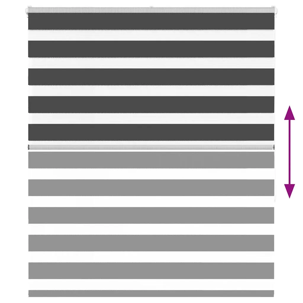 vidaXL Zebra Blind Black 125x150 cm Fabric Width 120.9 cm Polyester