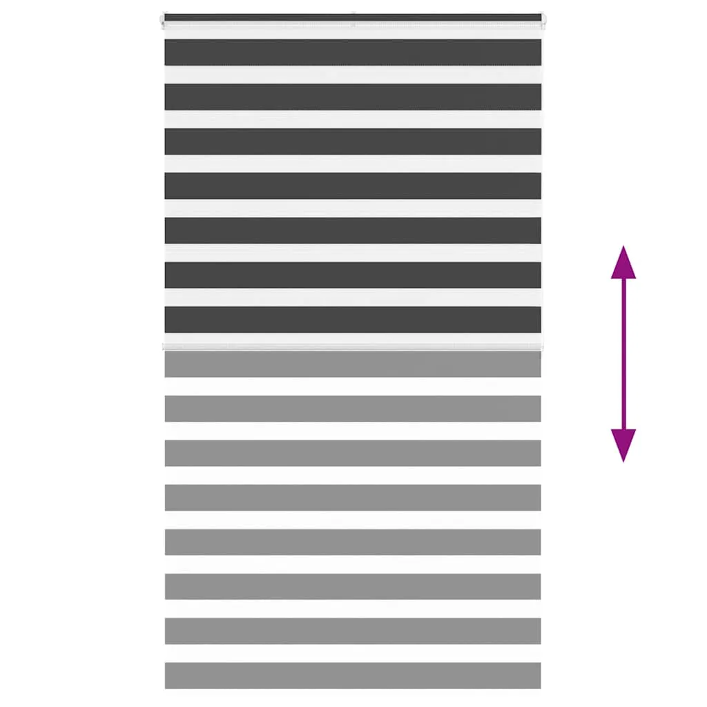 vidaXL Zebra Blind Black 125x200 cm Fabric Width 120.9 cm Polyester