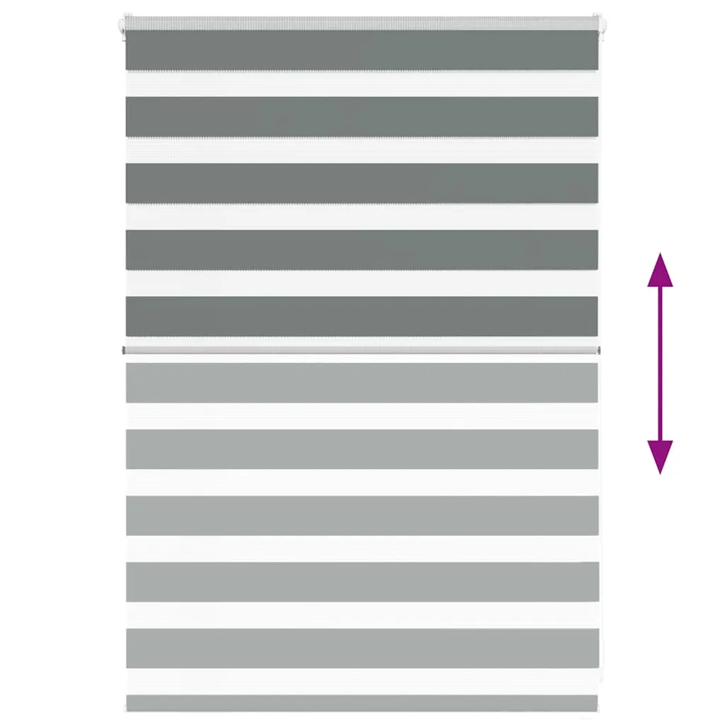 vidaXL Zebra Blind Dark Grey 105x100 cm Fabric Width 100.9 cm Polyester