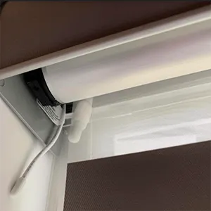Zebra Light Filtering Roller Shades
