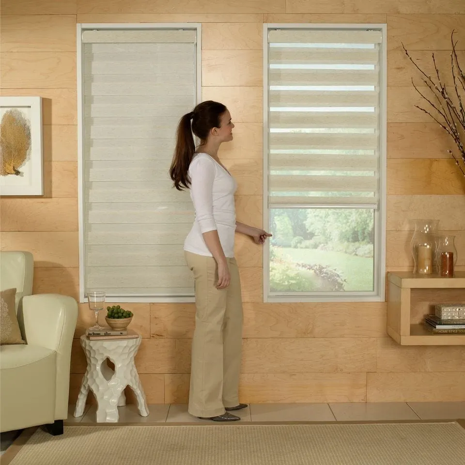 Zebra Light Filtering Roller Shades