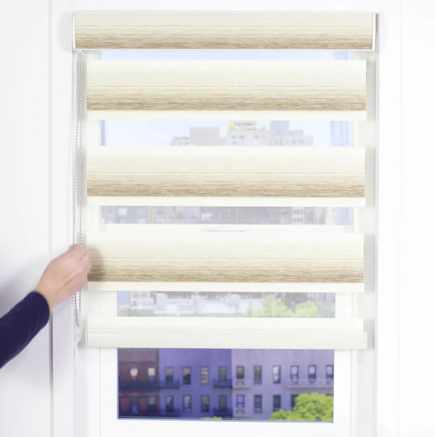 Zebra Light Filtering Roller Shades