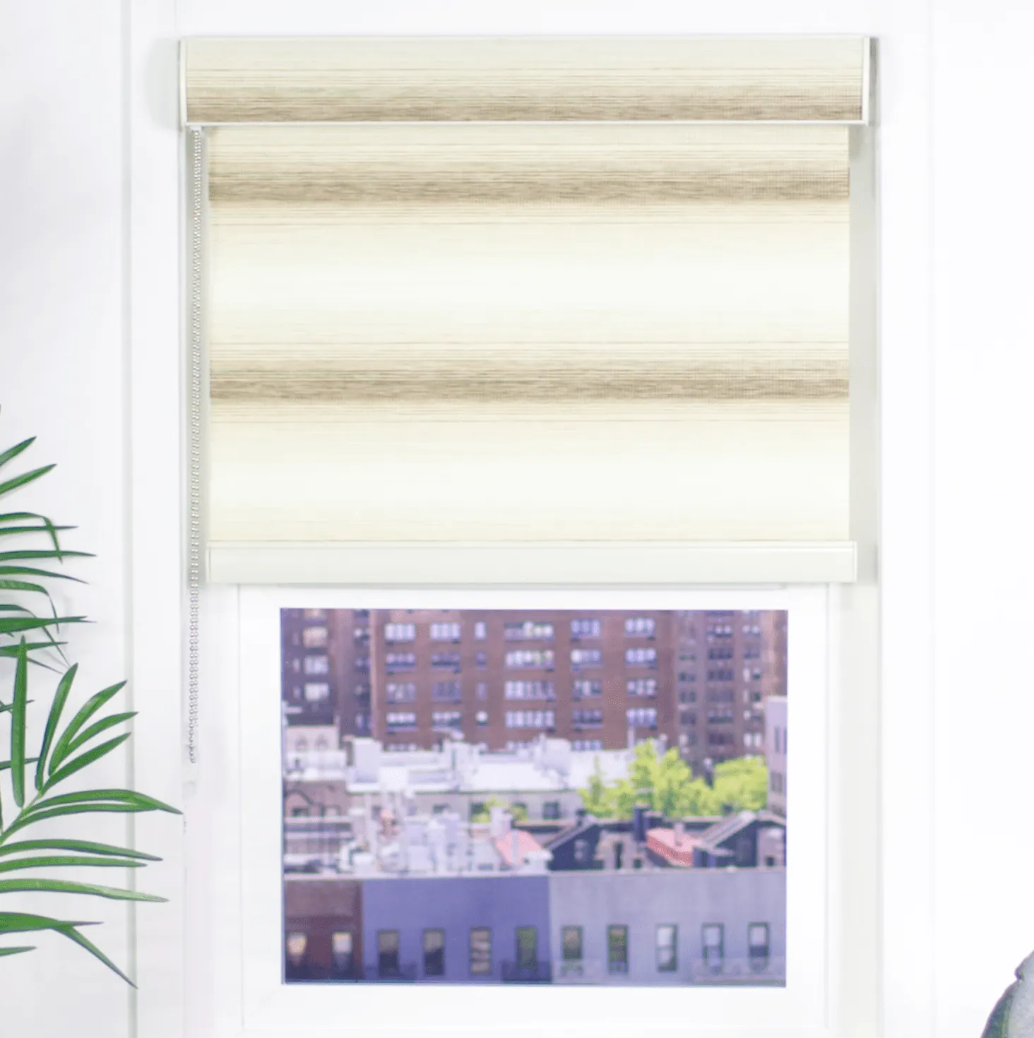 Zebra Light Filtering Roller Shades