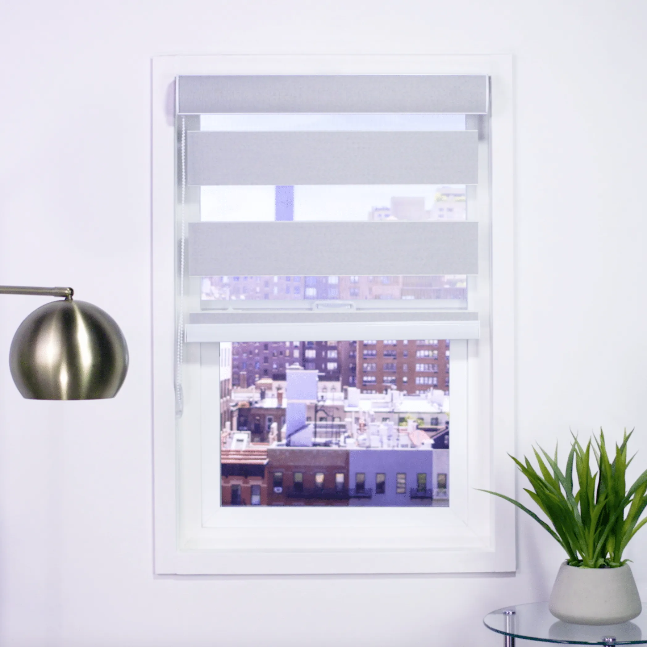 Zebra Room Darkening Roller Shades