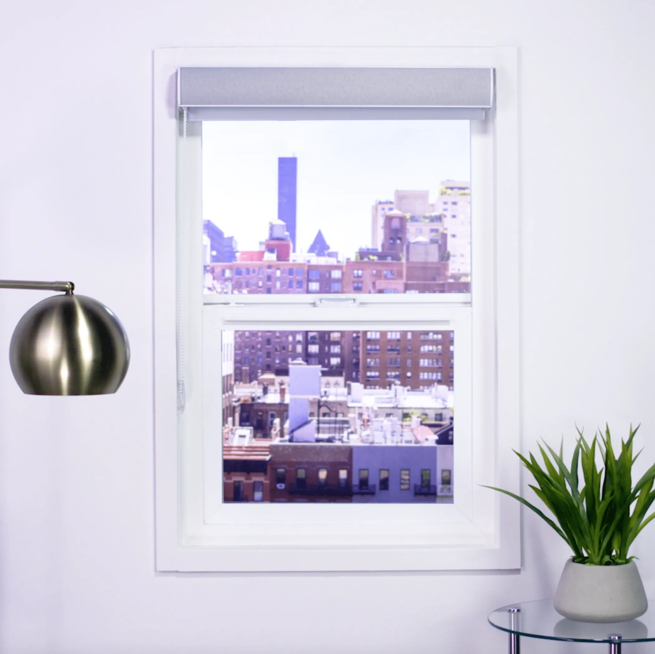 Zebra Room Darkening Roller Shades