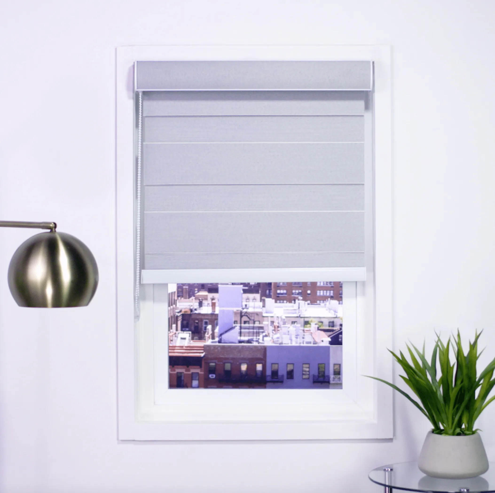 Zebra Room Darkening Roller Shades