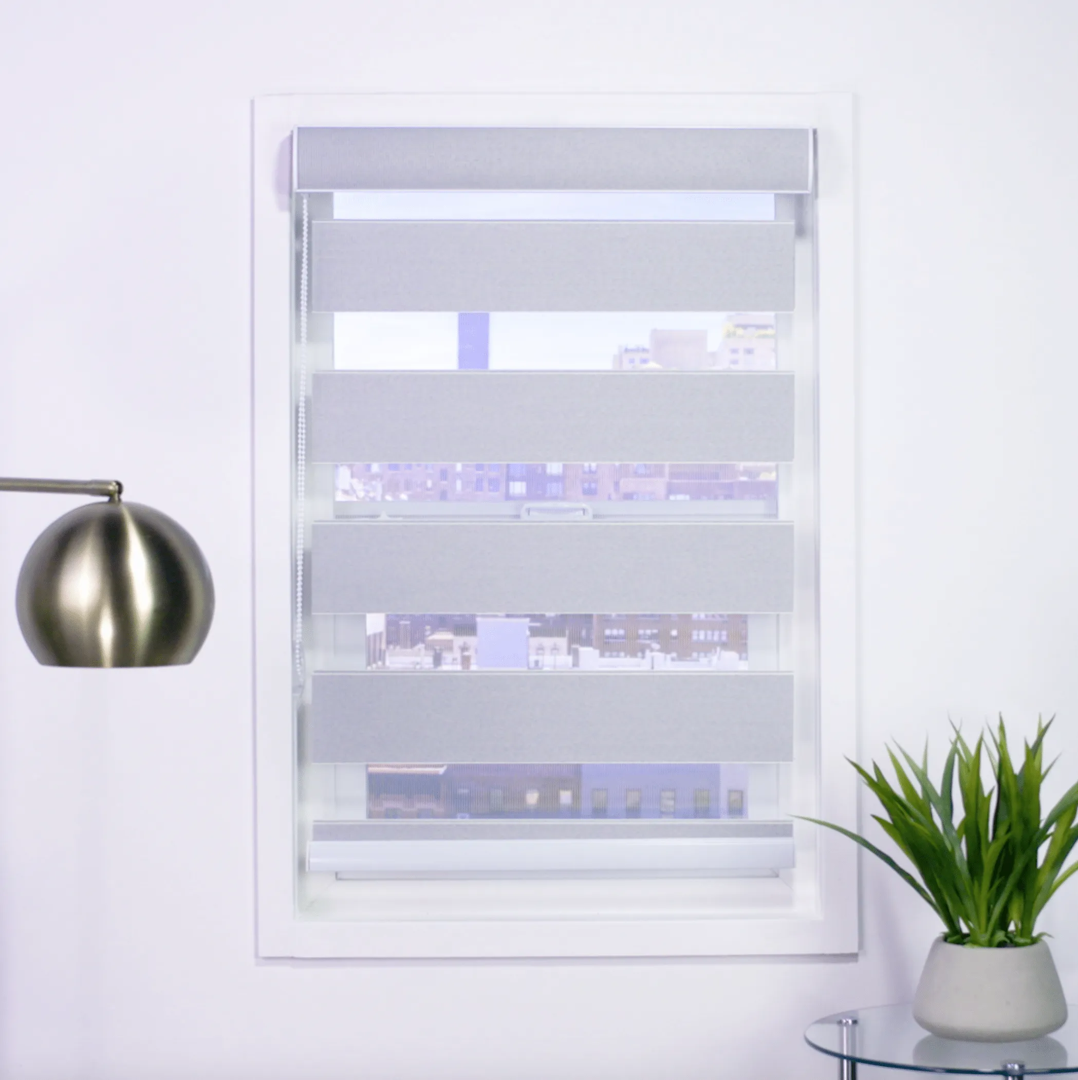 Zebra Room Darkening Roller Shades